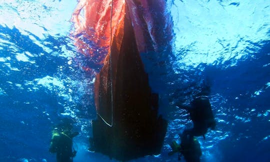 Diving Trips in Chloraka, Cyprus