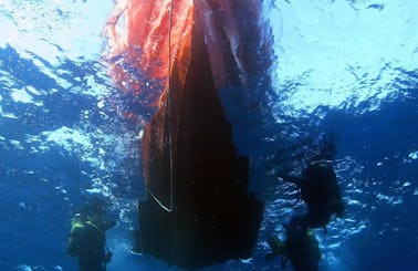 Diving Trips in Chloraka, Cyprus