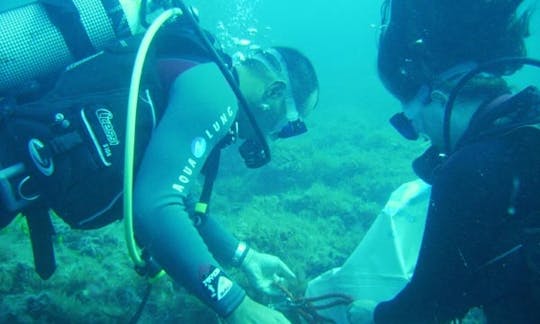 Diving Trips in Chloraka, Cyprus