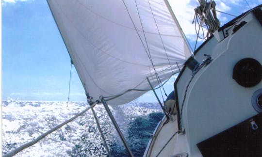 39' Cruising Catamaran Charters in Azores, Portugal