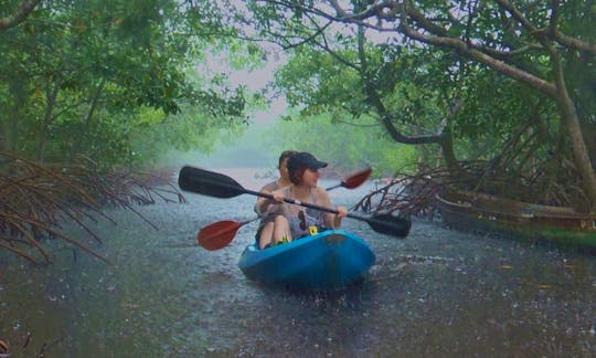 Double Kayak Rental On Morell River