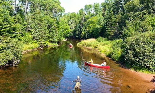 Canoe Rental On Morell River