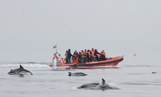 ポルトガル、サグレスでのRIB旅行