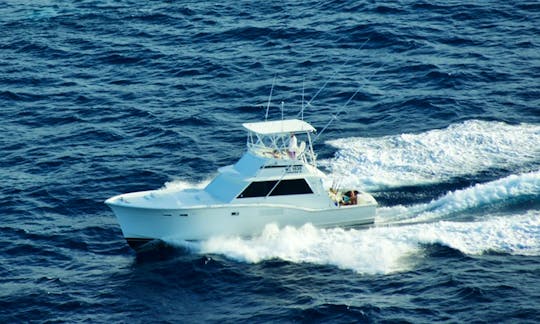 Fishing Charter on off the Coast of Curacao