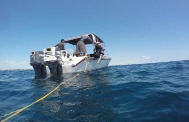 Scuba Diving In San Pedro, Corozal