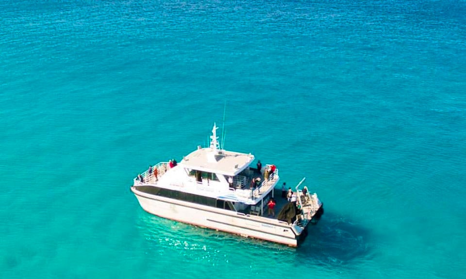 Scenic Wildlife Cruises In Esperance Australia Getmyboat
