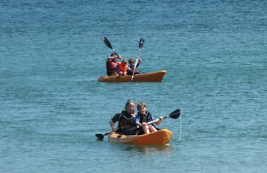 Kayak Safari Tour In Falmouth