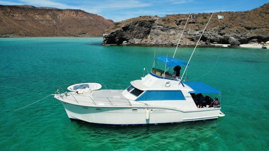 Custom 45ft Motor Yacht for Cruising in Baja California Sur