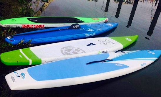 Stand Up Paddle Board Rentals | GetMyBoat