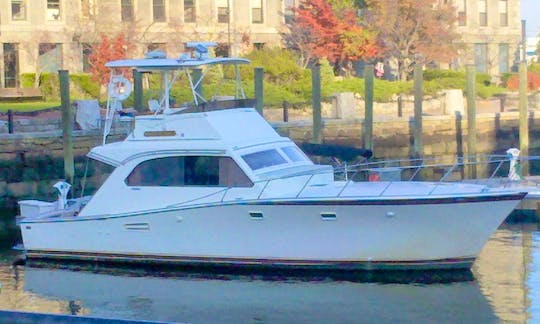 Charter On 42ft 'Indiscretion' Yacht In Boston, Massachusetts