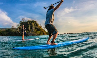 Stand Up Paddleboard Tour/Lesson In Santa Teresa