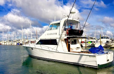 Auckland Fishing Charter on 'Gladiator' Yacht