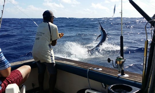 Black Marlin