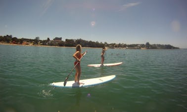 Aulas de stand up paddleboard em Auckland