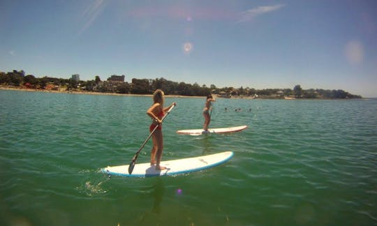 Stand Up Paddleboard Lessons In Auckland