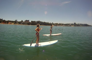 Stand Up Paddleboard Lessons In Auckland