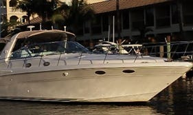 44' Sea Ray Sundancer Motor Yacht