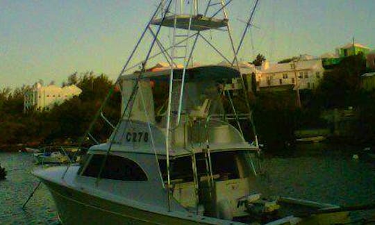 Fishing Charter On 40ft "Challenger" Sport Fisherman In Sandys, Bermuda