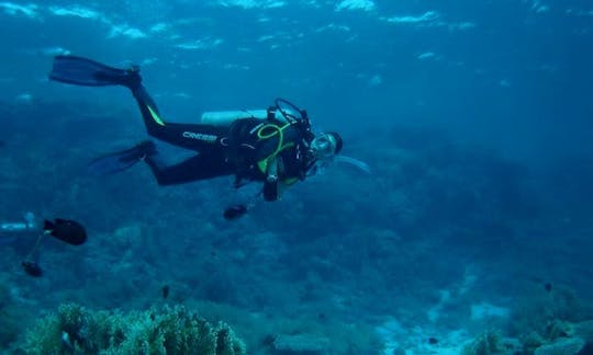 スペイン、サンノゼでのダイビング