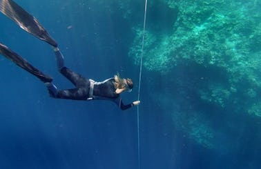Freediving Excursions and Lessons