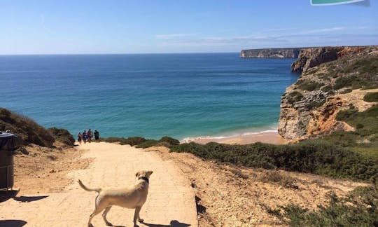 Guided SUP Tour in Portugal