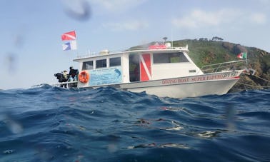 Discover Scuba Diving In Campo nell'Elba