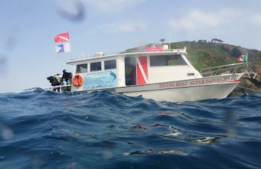 Discover Scuba Diving In Campo nell'Elba