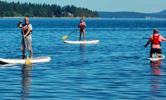 Stand Up Paddleboard Rental In Ladysmith