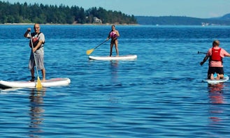 Stand Up Paddleboard Rental In Ladysmith