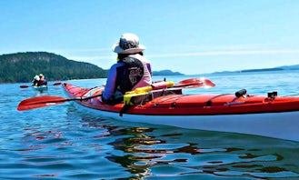Single Kayak Rental In Ladysmith