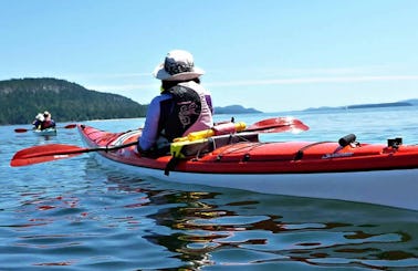 Single Kayak Rental In Ladysmith