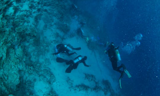 Diving In Sharm el-Sheikh