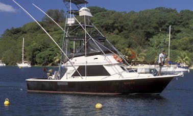 Excursions de pêche sportive amusantes sur notre bateau « Nevagivup » au départ de Port Vila