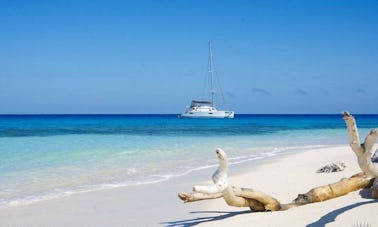 Aluguer de catamarã à vela 'Abaca' em Noumea