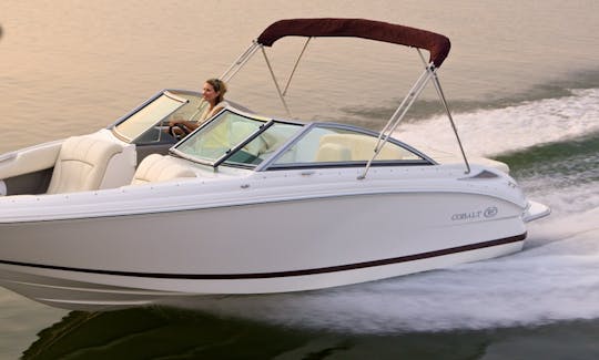 Bowrider Cobalt 222 - Princesa, Alquiler en Mallorca, España