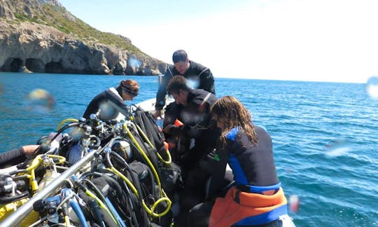 Scuba Diving In Portugal
