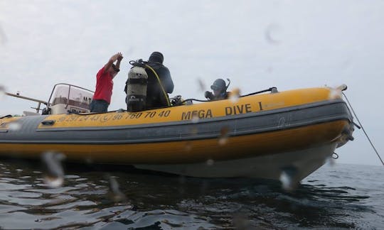 ポルトガルでのスキューバダイビング