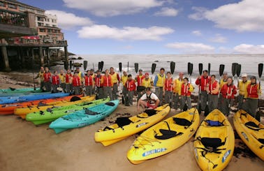 Kayak Rental in Sandgate. Queensland