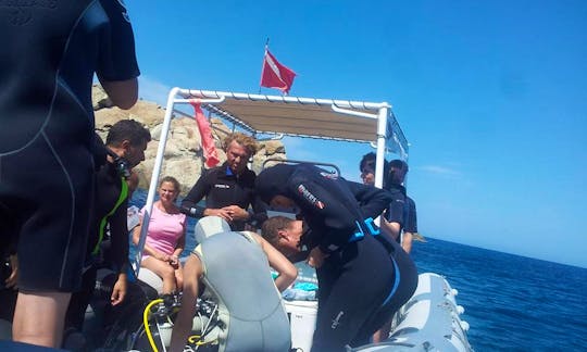 Boat Diving Trips & PADI Course in Villasimius