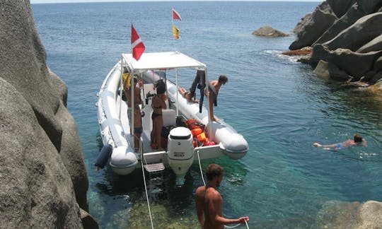 Boat Diving Trips & PADI Course in Villasimius