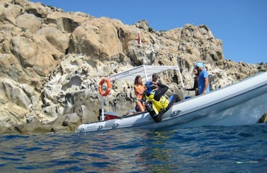 Boat Diving Trips & PADI Course in Villasimius