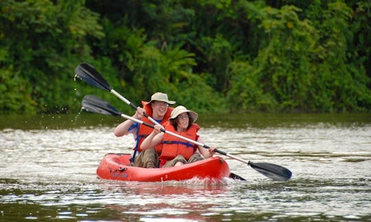 Kayak Day Tours in Paramaribo