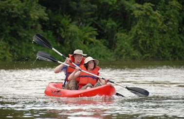 Kayak Day Tours in Paramaribo