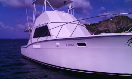 36 ft Sport Fisherman Charter for 15 People in Rivas, Nicaragua