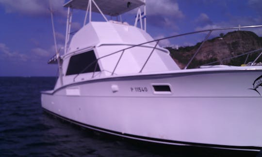 36 ft Sport Fisherman Charter for 15 People in Rivas, Nicaragua