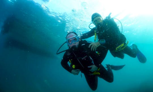 Discover Scuba Diving In La Herradura