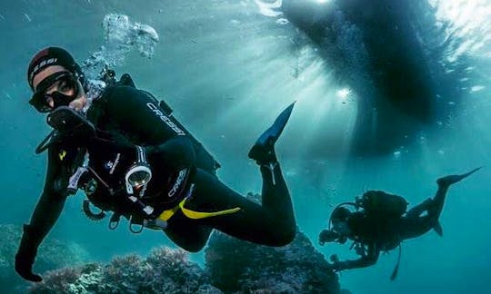 Discover Scuba Diving In La Herradura