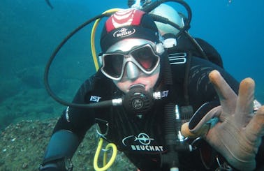 Scuba Diving In Galápagos Island