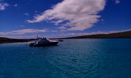 Scuba Diving In Galápagos Island