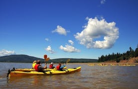Tandem Kayak Rental in Handeloh, Germany
